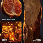 Paco Rabanne Paco Rabanne 1 Million by Paco Rabanne Eau De Toilette 3.4 oz