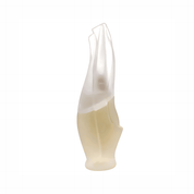 Cashmere Mist by Donna Karan Eau De Toilette 3.4 oz