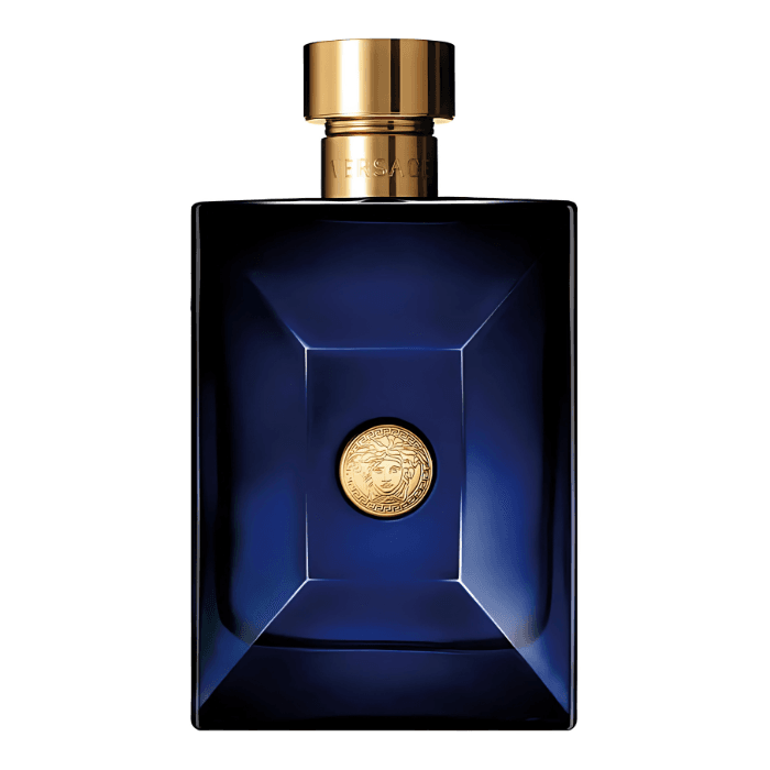 Dylan Blue Pour Homme by Versace Eau De Toilette 6.7 oz