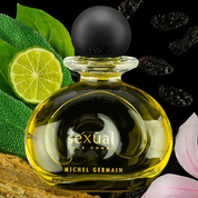 Sexual Pour Homme by Michel Germain Eau De Toilette 2.5 oz