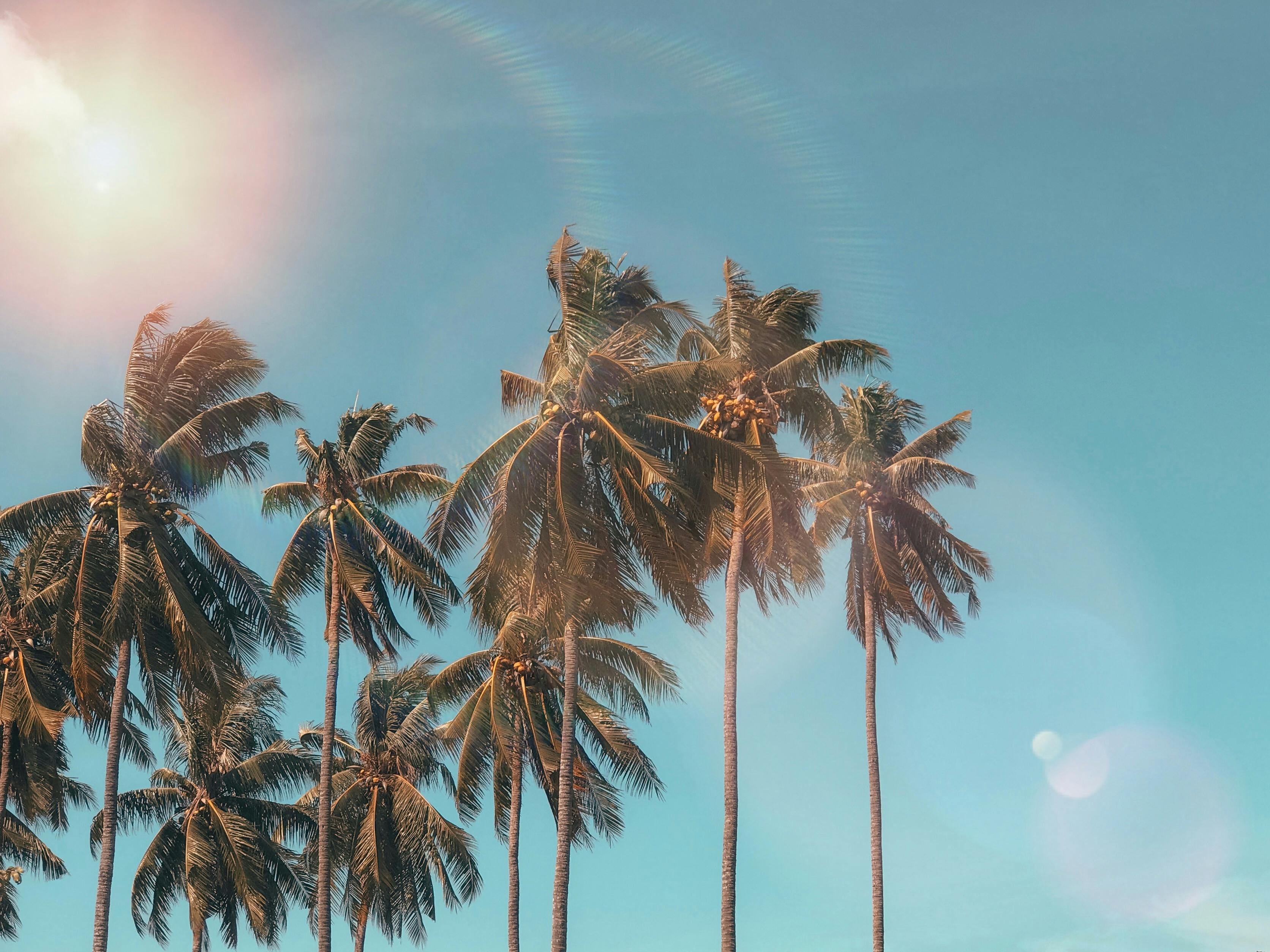 Summer.jpg