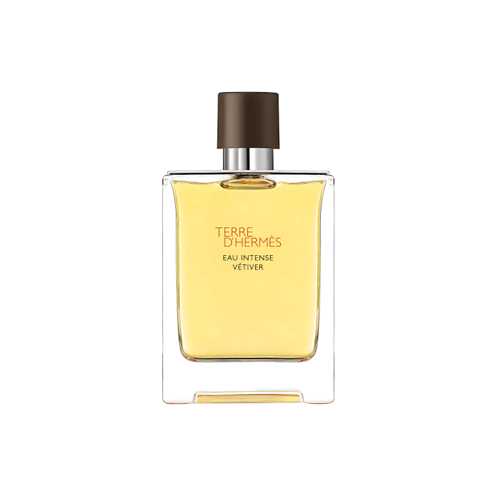 Terre_D_hermes_Eau_Intense_Vetiver_by_Hermes_Eau_De_Parfum_3.3_oz_Men.png