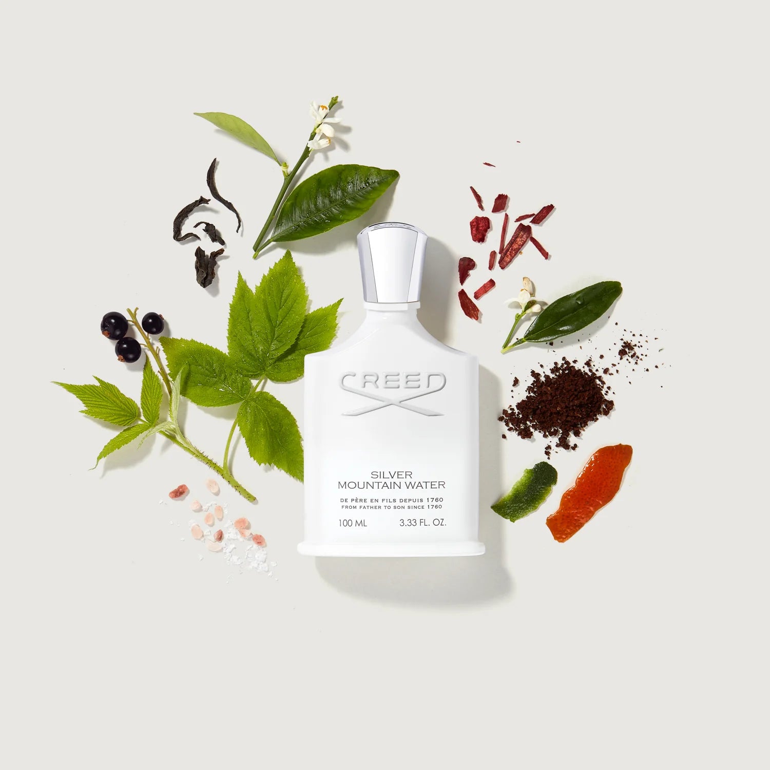 Silver Mountain Water by Creed Eau De Parfum 3.3 oz